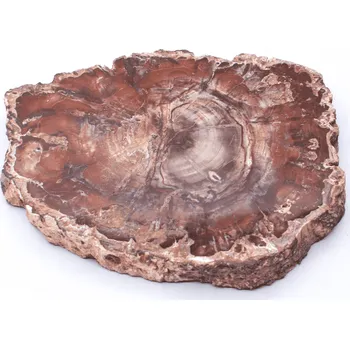 Přírodní kámen Milujeme Kameny Zkamenělé dřevo - zkamenělina ZD17 406066