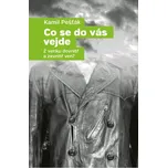 Co se do vás vejde - Kamil Pešťák (2018) [E-kniha]