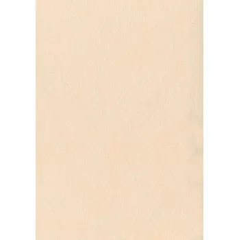 Dekorační plsť smetanová 20 x 30 cm Rayher