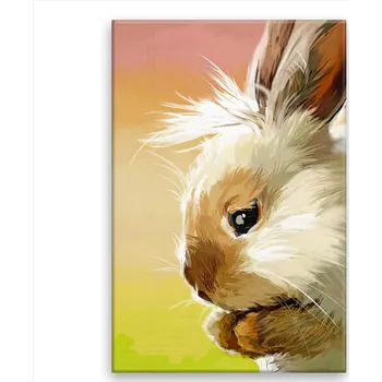 Obraz Obraz na plátně - Králíček Megi - 40x60 cm - CZ výroba