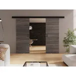 Posuvné dveře Juwentyn Duo 152, Barva: jasan tmavý MIRJAN 5903211303562