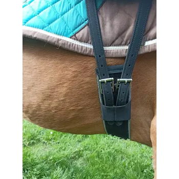 Podbřišník PŮJČOVNA Zkušební drezurní podbřišník F.R.A. Supersingel