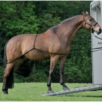 Krmivo pro koně Pomůcka pro nakládání koně