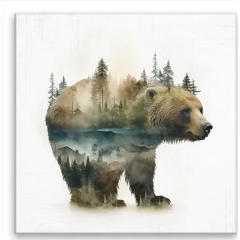 Obraz Obraz na plátně - Medvěd ve snu - 40x40 cm - CZ výroba