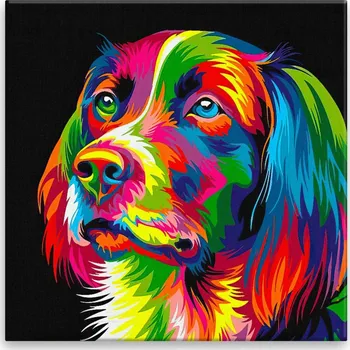 Obraz Obraz na plátně - Psí pohled v barvách - 40x40 cm - CZ výroba