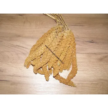 Krmivo pro ptáka LECODE H.K. INTLĹ Senegalské proso klasy červené 250 g