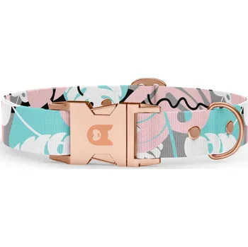 Obojek pro psa Obojek pro psa Obodog® Basic kolekce Uno