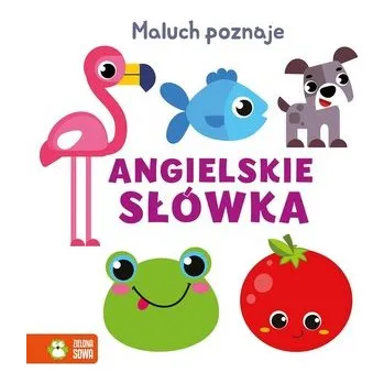 První čtění Maluch poznaje Angielskie słówka