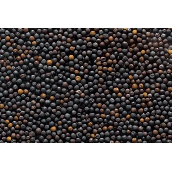 Krmivo pro hospodářské zvíře ŘEPKA - 25 kg