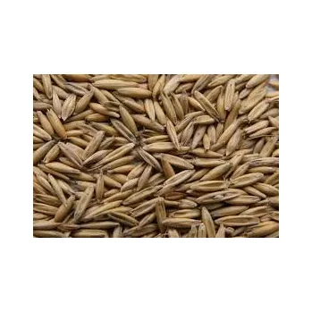 Chov hospodářského zvířete OVES obyčejný krmný - 25 kg