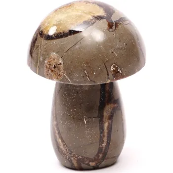 Drahý kámen Magieprirody.cz Houba z kamene Septárie 92 mm - 364 g #C18