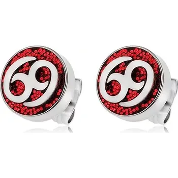 Náušnice Náušnice z oceli 316L, červený glitrový kruh, znak 69