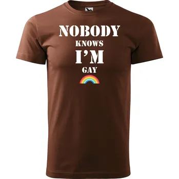 Pánské tričko Sablio Tričko s potiskem Nobody knows I am gay - hnědé 4XL