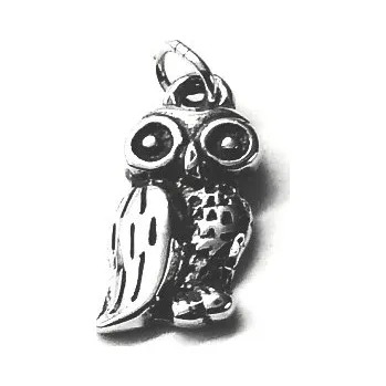 Přívěsek Stříbrný přívěsek sova - DN55 (Stříbrná sovička)