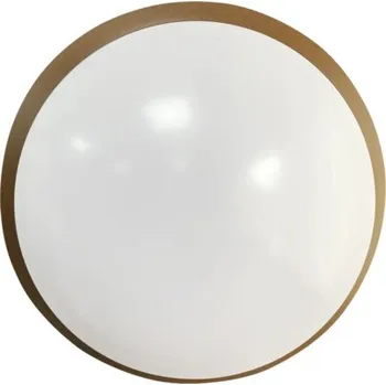 Stropní svítidlo IP40 E27 40 W rezatá barva