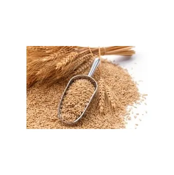 Chov hospodářského zvířete Ječmen krmný – český ječmen pro krmení zvířat 50 kg