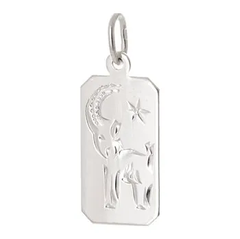 Přívěsek Stříbrný přívěšek znamení Kozoroh STRZ1073KOZF