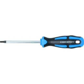 Šroubovák ENERGY Šroubovák TORX T25X100MM NE01315