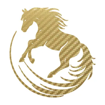 Samolepící dekorace SAMOLEPKA Kůň 107 levá v kruhu (59 - 3D karbon zlatý) NA AUTO, NÁLEPKA, FÓLIE, POLEP, TUNING, VLASTNÍ TEXT, TISK, AUTOSAMOLEPKY.cz, POLEPY, OBRÁZEK, LOGO, SAMOLEPKY