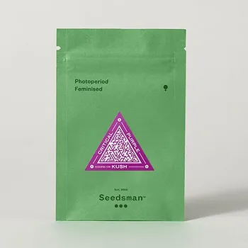 CBD Critical Purple Kush – feminizovaná semena | Seedsman Feminized (Ks): 1