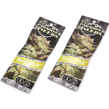 Semeno Durga Mata – feminizovaná semena | Paradise Seeds Feminized (Ks): 3