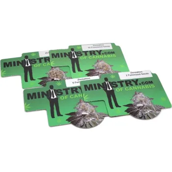 Semeno Zensation – feminizovaná semena | Ministry Of Cannabis Feminized (Ks): 2