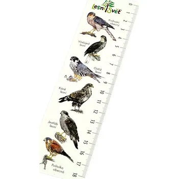 Zarážka na knihu Lesní svět Papírová záložka s měřítkem Krahujec (Papírová záložka s měřítkem od českého výrobce Lesní svět. Ideální záložka do učebnice přírodopisu. Obrázky malují čeští ilustrátoři. Rozměry: (š) 19 cm × (v) 5 cm, 1str. potisk.)