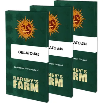 Semeno Gelato #45 – feminizovaná semena | Barneys Farm Feminized (Ks): 1