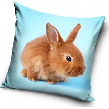 Dekorativní polštářek Carbotex Dekorační polštářek Rezavý králíček 40x40 cm
