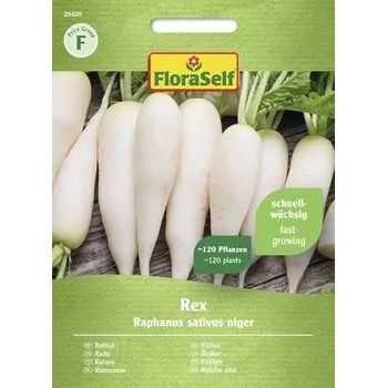 Semeno Ředkev Rex FloraSelf