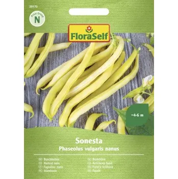 Semeno Fazole keříčková Sonesta FloraSelf