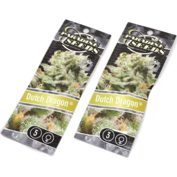 Semeno Dutch Dragon – feminizovaná semena | Paradise Seeds Feminized (Ks): 3