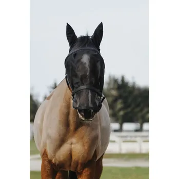 Ohlávka s maskou proti hmyzu EQUITHÈME PONY