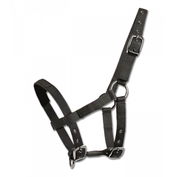 Vybavení pro koně Ohlávka Waldhausen pro Mini Shetty azurově modrá