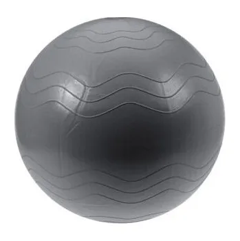 XQ Max Pomůcka na cvičení Yoga Ball pr. 65 cm, stříbrná