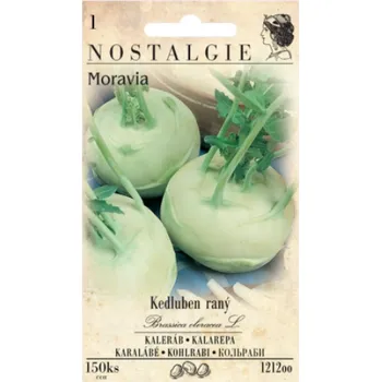 Semeno Nostalgie Kedluben raný bílý Moravia 150 ks