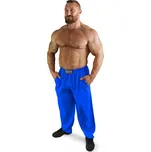 Bizon Gym Tepláky 128 - modrá Modrá XL