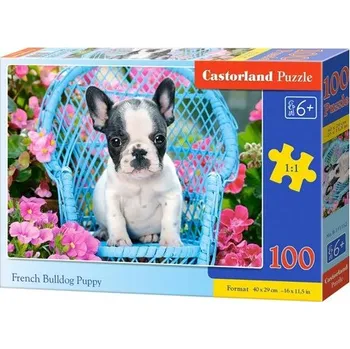 Puzzle Puzzle Castorland 100 dílků premium - Štěně Francouzského buldočka