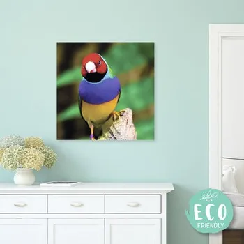 Obraz Fotoobraz na plátně z vlastní fotografie 40 x 40 cm