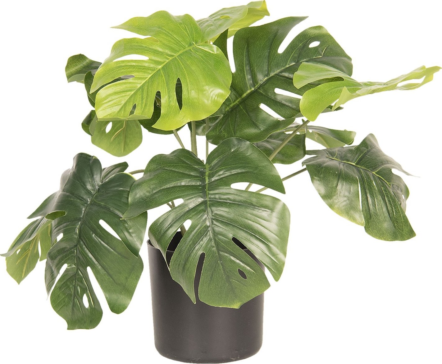 Clayre & Eef Monstera skvostn v kvtini od 591 K - Zbozi.cz
