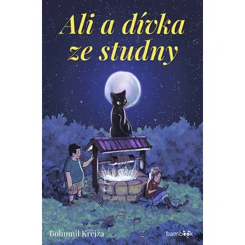 Pohádka Ali a dívka ze studny