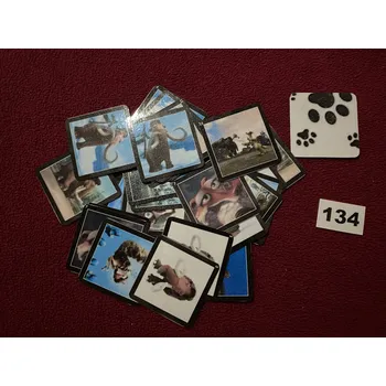 Pexeso HandMade by VeJa Velké pexeso vel.XL č.134 - Doba Ledová (36kousků)