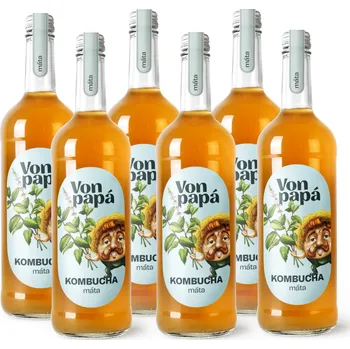 kombuchy Von Papá Kombucha máta