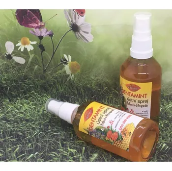 Ústní sprej Dentamint ústní sprej med + propolis velký