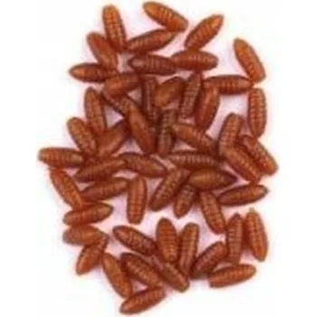 Behr umělé kukly Trendex Varianta: Hellbraun (světle hnědé) (9072101)