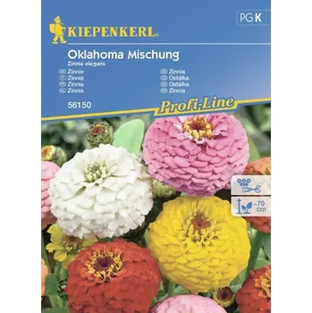 Ostálka, cínie Oklahoma mix Kiepenkerl