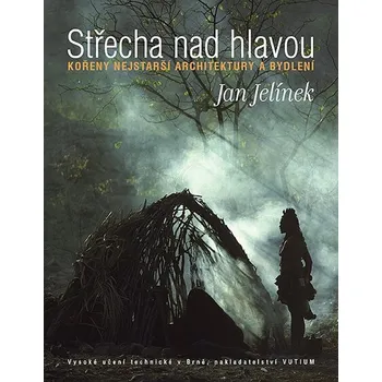 Umění Střecha nad hlavou - Jan Jelínek