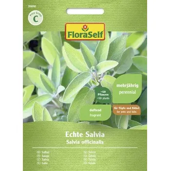 Semeno Šalvěj lékařská FloraSelf