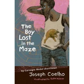The Boy Lost in the Maze - Coelho, Joseph