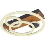 GLOBO DARRYL 67265-55 Stropní svítidlo